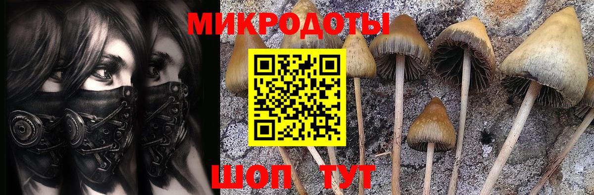 Псилоцибиновые грибы ЛСД  как найти   Мценск  Вход с VPN  Галлюциногенные грибы Psilocybine cubensis 